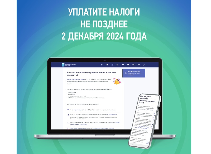 2 декабря – срок уплаты имущественных налогов.