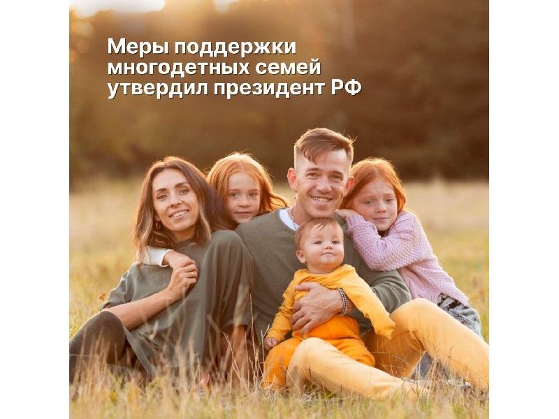Меры поддержки многодетных семей утвердил президент РФ.