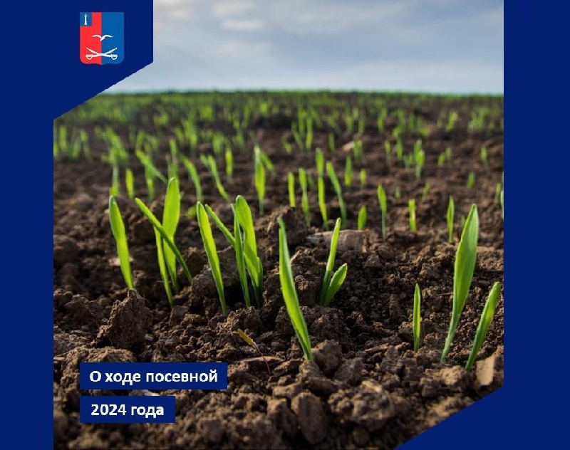Хозяйства Чердаклинского района готовятся к весенне-полевым работам..
