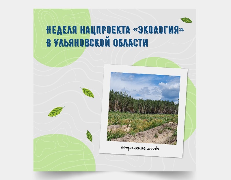 Как заботятся о лесах в Ульяновской области?.