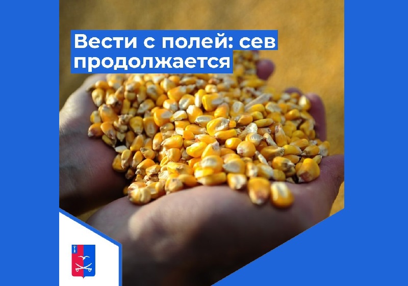 Вести с полей: сев продолжается .