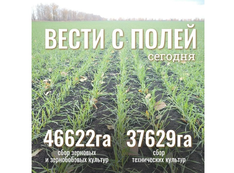 Вести с полей.