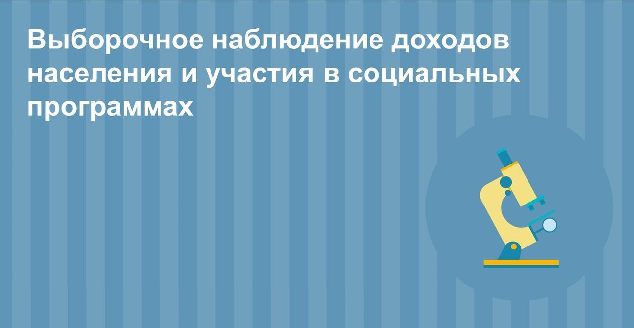 Росстат проводит Выборочное наблюдение доходов населения и участия в социальных программах (копия).