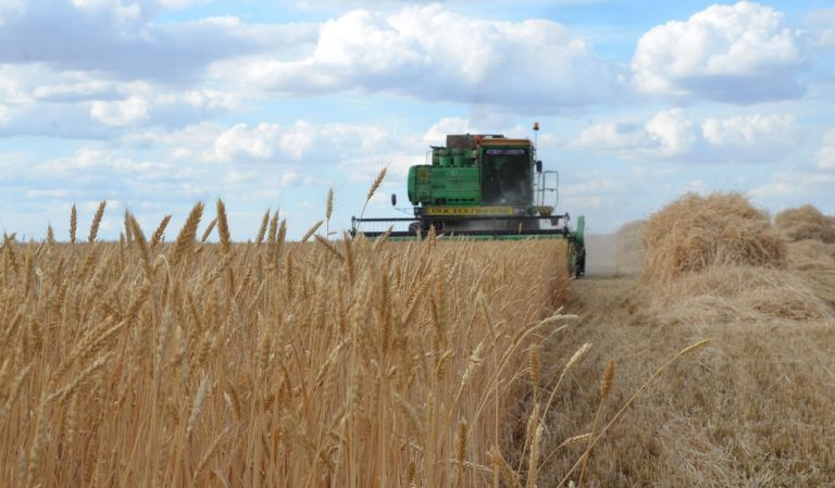Заготовка кормов и уборка зерновых сельскохозяйственных культур