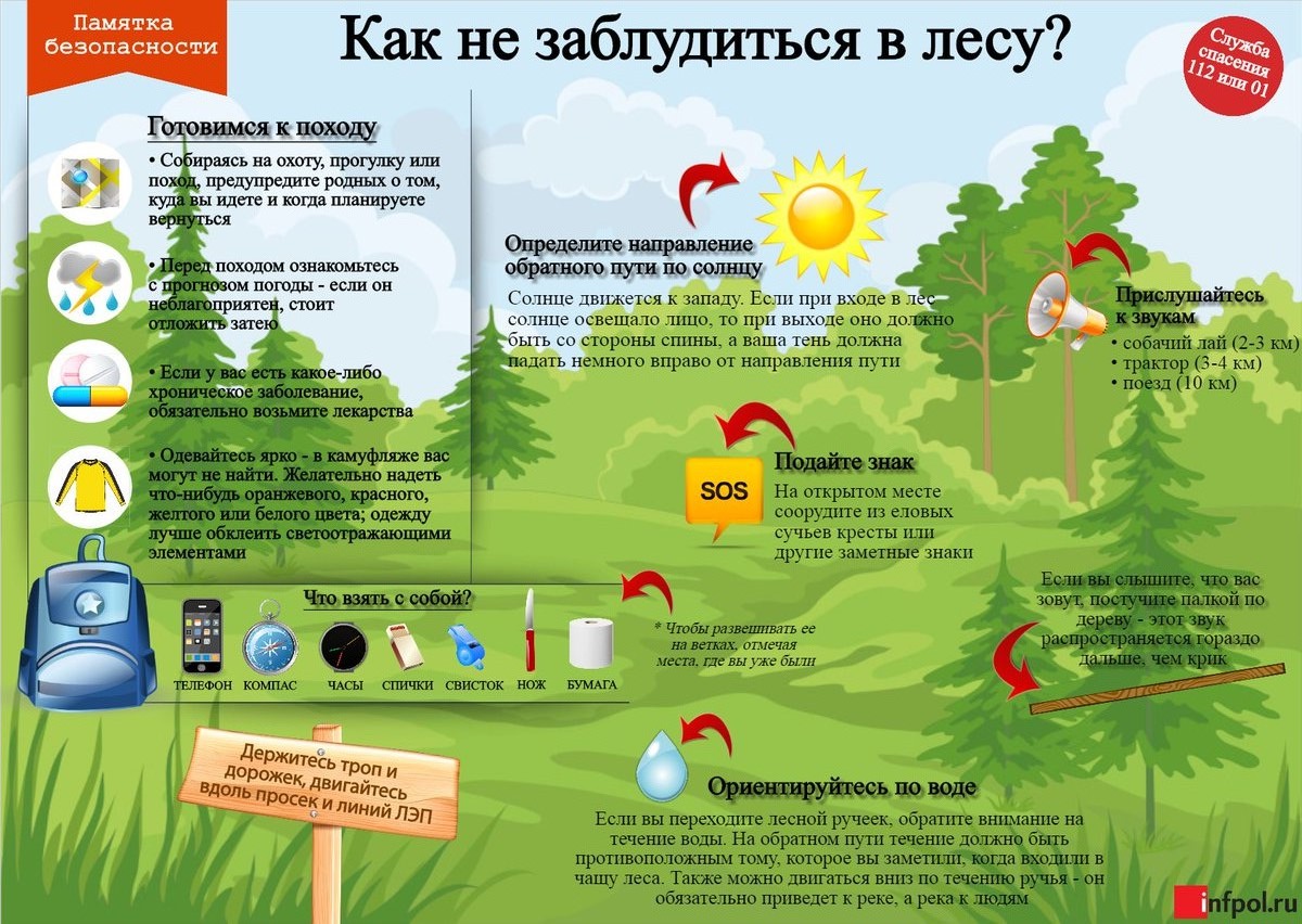 Правила поведения  при походе в лес.