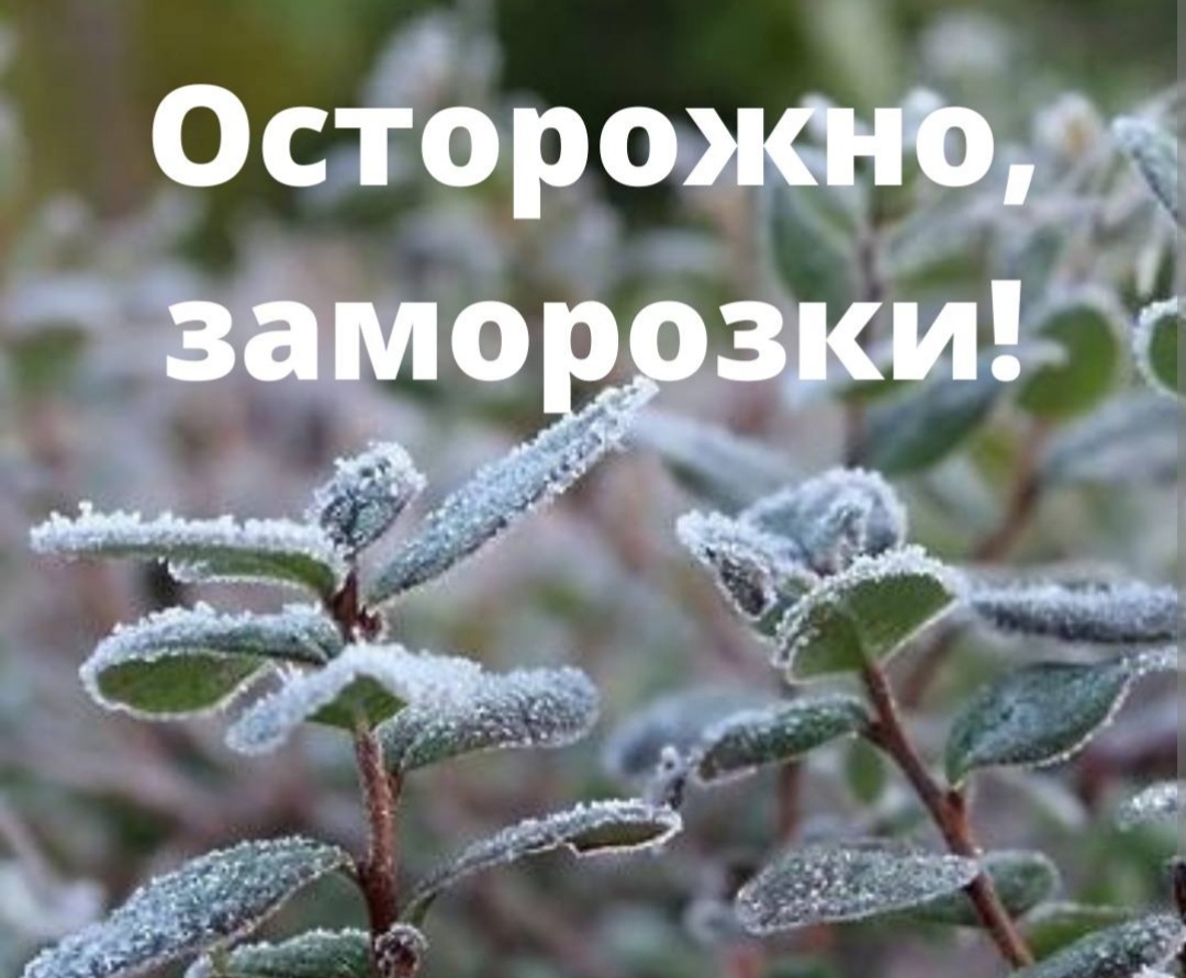 Опасные явления погоды..