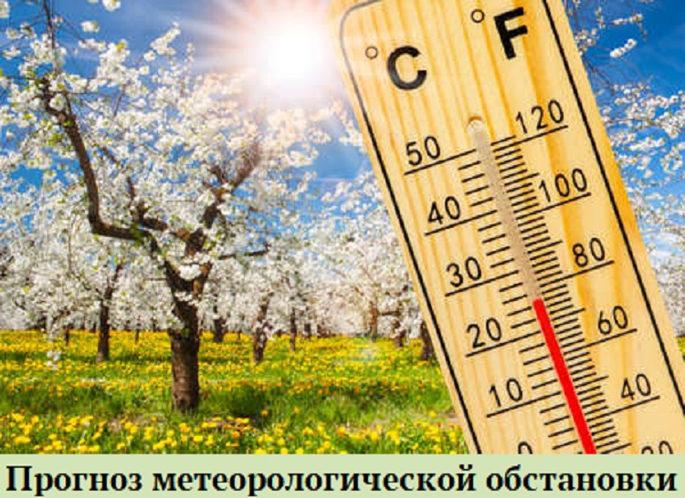 Прогноз метеорологической обстановки с  19  по  23 мая 2023 года.