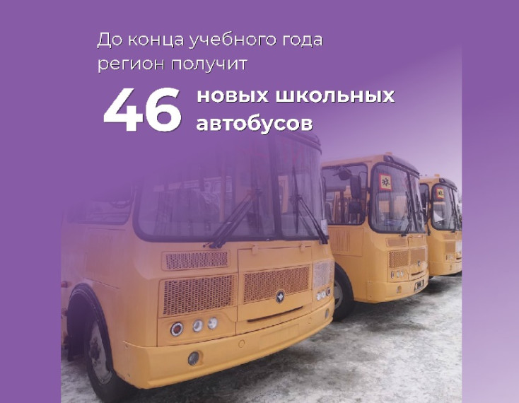 До конца учебного года регион получит 46 новых школьных автобусов.