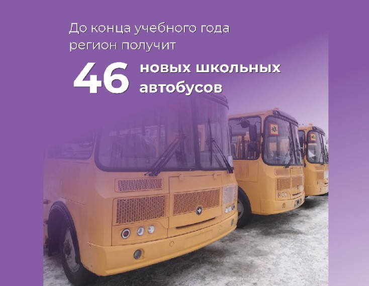 До конца учебного года регион получит 46 новых школьных автобусов. До конца учебного года регион получит 46 новых школьных автобусов.