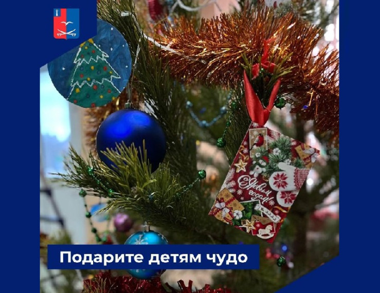В Чердаклах проходит акция елка желаний. В Чердаклах проходит акция елка желаний.