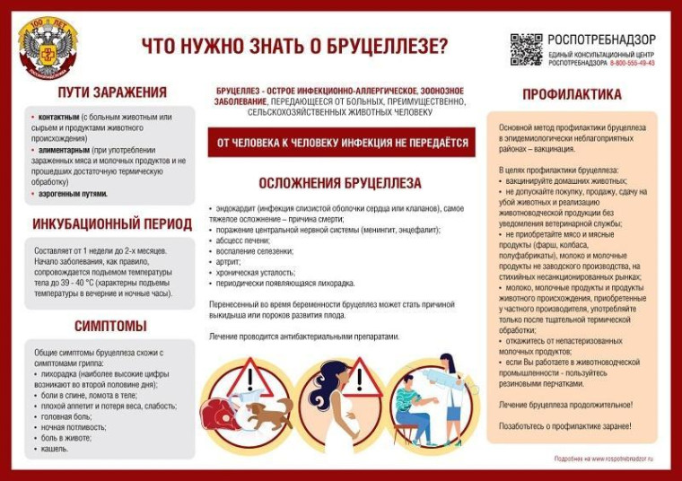 О профилактике бруцеллеза. О профилактике бруцеллеза.