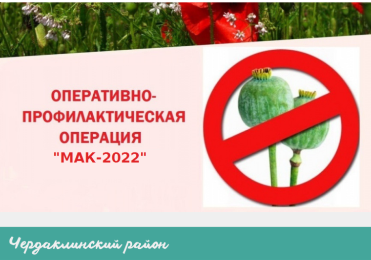 В Чердаклинском районе организован комплекс мероприятий «МАК-2022». В Чердаклинском районе организован комплекс мероприятий «МАК-2022».