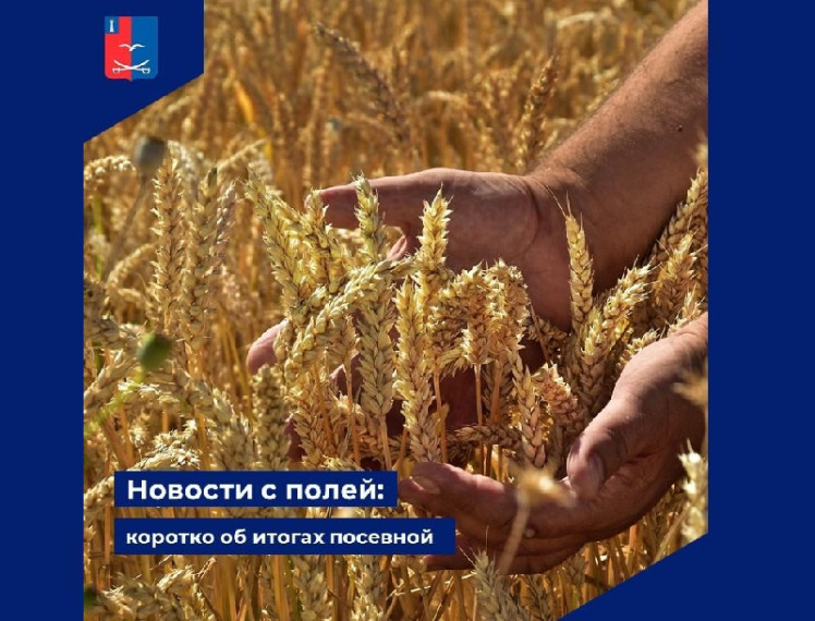 Новости с полей: коротко об итогах посевной. Новости с полей: коротко об итогах посевной.