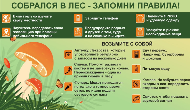 Правила поведения. Правила поведения.