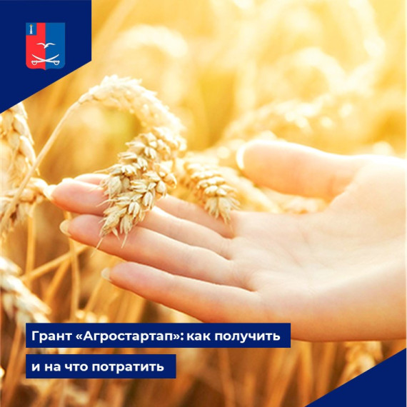 Кто может претендовать на «Агростартап»?. Кто может претендовать на «Агростартап»?.