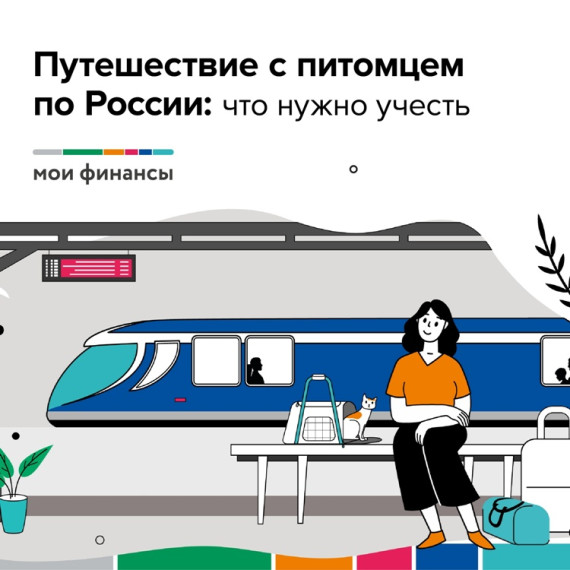 Путешествие с питомцем по России: прививки, ветпаспорт, билет. Путешествие с питомцем по России: прививки, ветпаспорт, билет.