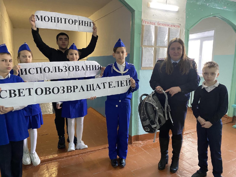 Мониторинг использования световозвращателей. Мониторинг использования световозвращателей.