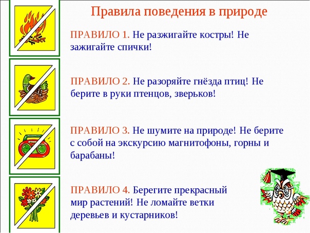 Соблюдение правил безопасности в природной среде.