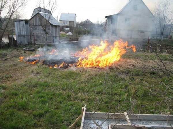 Соблюдение правил безопасности в природной среде.