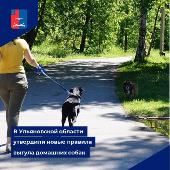 Внимание владельцам собак!. Внимание владельцам собак!.