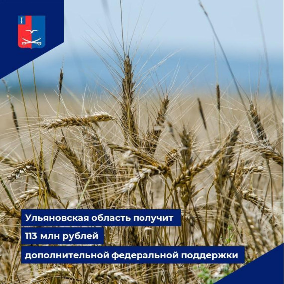 В Ульяновской области производители зерна получат дополнительную федеральную поддержку.