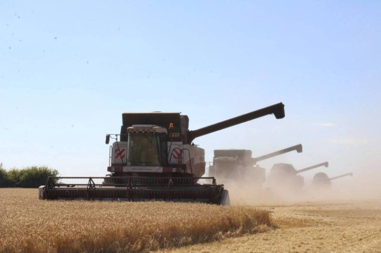 В Чердаклинском районе аграрии намолотили 100 тысяч тонн зерна.