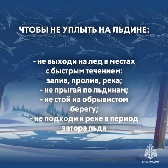 МЧС России: выход на лед становится опасным для жизни.